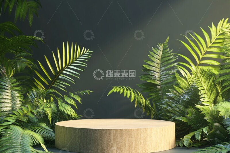 高清大图下载【趣麦麦图】置物台绿植展示背景3