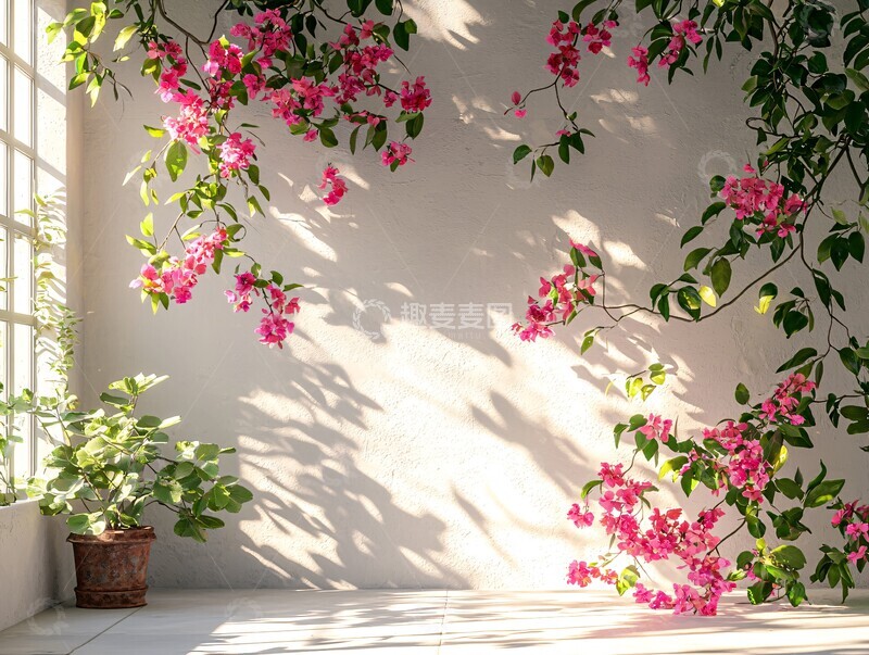 高清大图下载【趣麦麦图】阳光窗影里的花叶2