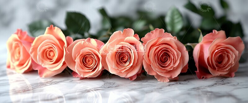 高清大图下载【趣麦麦图】玫瑰与天空的交织1