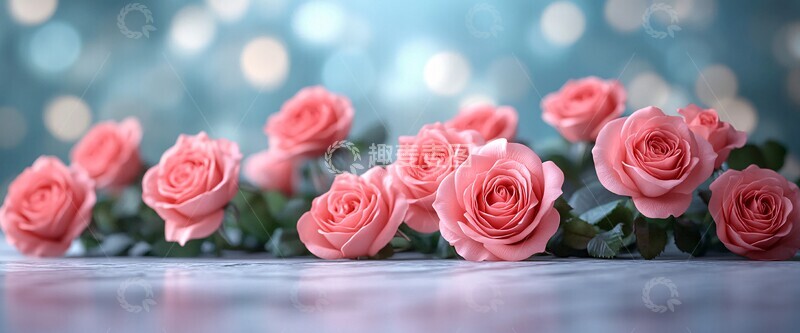 高清大图下载【趣麦麦图】玫瑰与天空的交织
