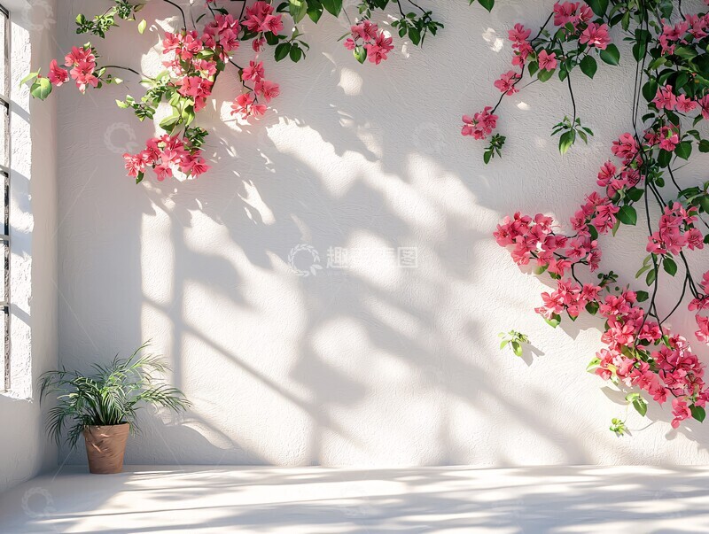 高清大图下载【趣麦麦图】阳光窗影里的花叶3