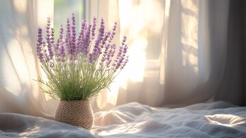 晨光穿透的早晨3