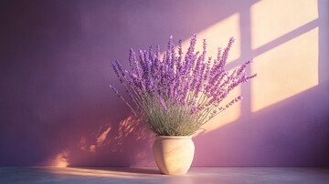 晨光穿透的早晨2