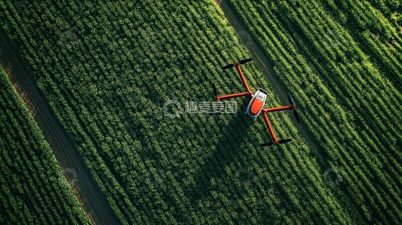 高清大图下载【趣麦麦图】卫星提供作物数据1