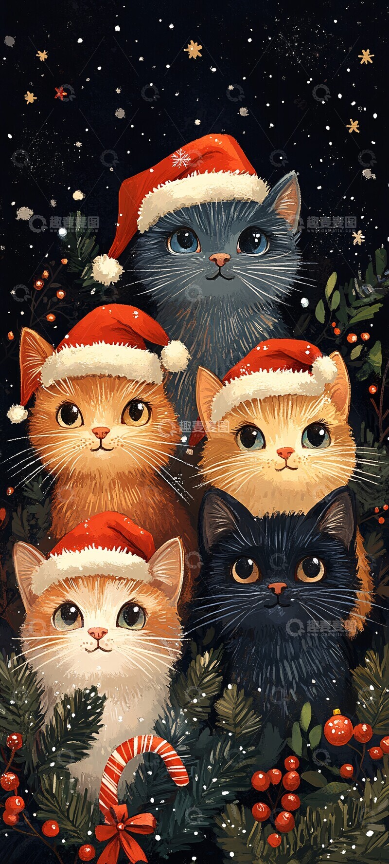 高清大图下载【趣麦麦图】-猫咪圣诞夜猫咪圣诞帽子