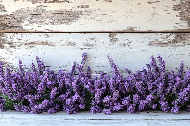 高清大图下载【趣麦麦图】白木背景薰衣草1