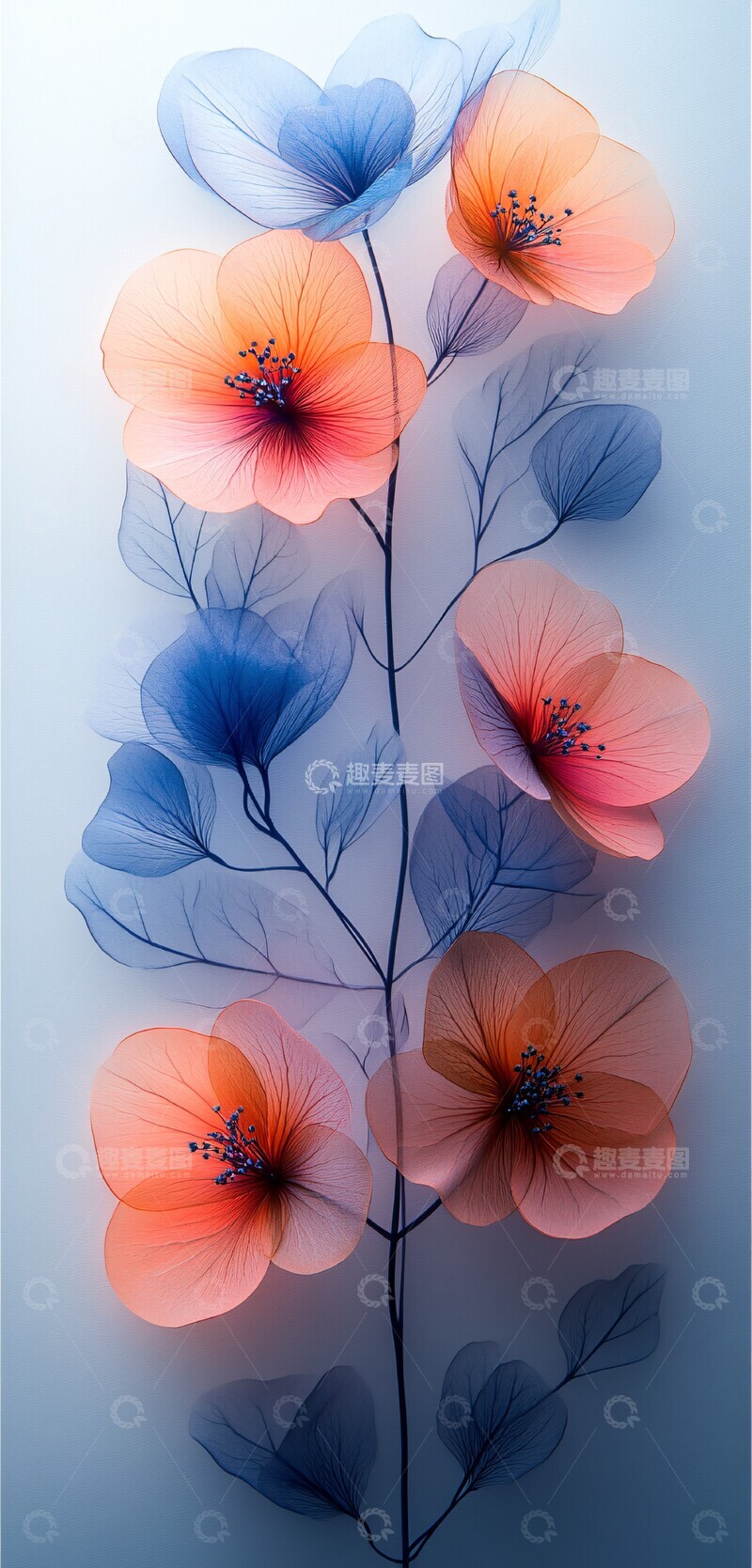 高清大图下载【趣麦麦图】水彩花卉插画5