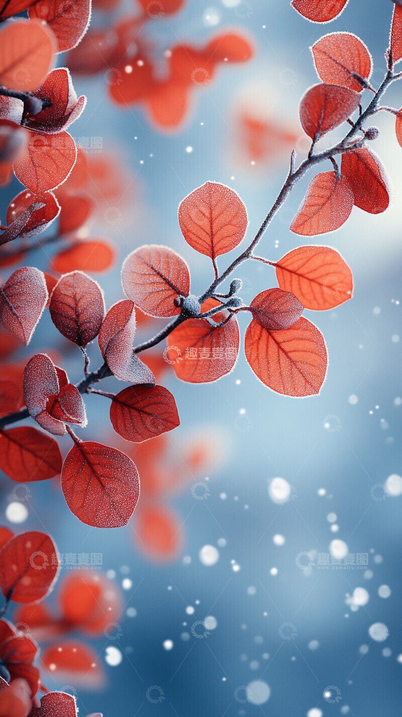 高清大图下载【趣麦麦图】冬日叶雪饰边图1