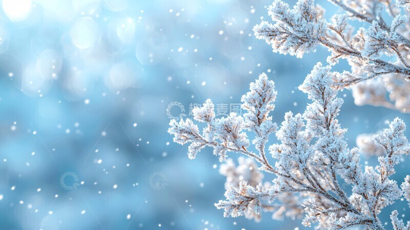 高清大图下载【趣麦麦图】冬日柔光背景3