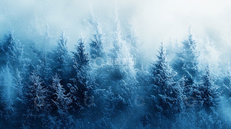 高清大图下载【趣麦麦图】冬日柔光背景