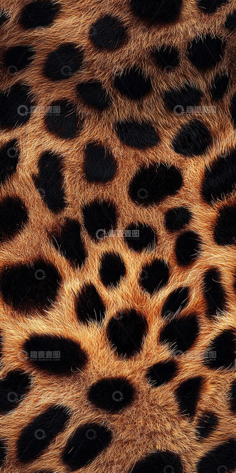 高清大图下载【趣麦麦图】豹纹无缝背景2