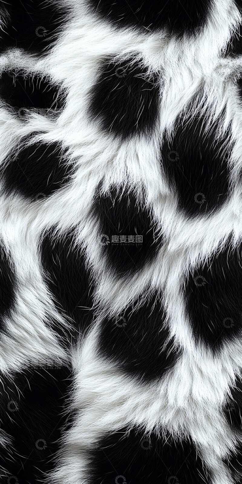 高清大图下载【趣麦麦图】豹纹图案豹纹动物皮革1