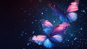 蝴蝶浮太空蝴蝶太空背景3