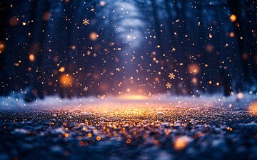 雪中飞舞的萤火虫1