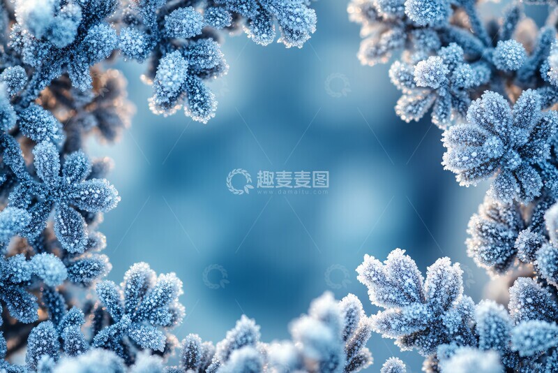 高清大图下载【趣麦麦图】雪冰花纹框架1