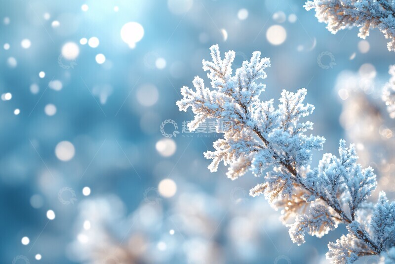 高清大图下载【趣麦麦图】雪花的宁静雪花宁静冬季