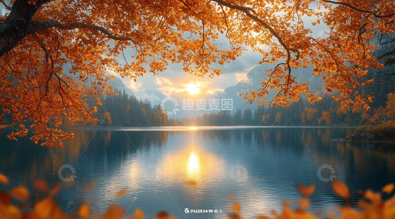 高清大图下载【趣麦麦图】湖畔秋林森林落叶树枝3