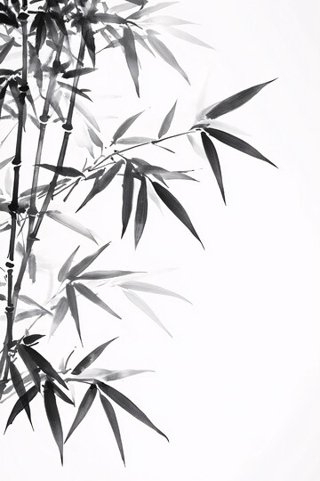 竹叶水墨画竹叶水墨线条3
