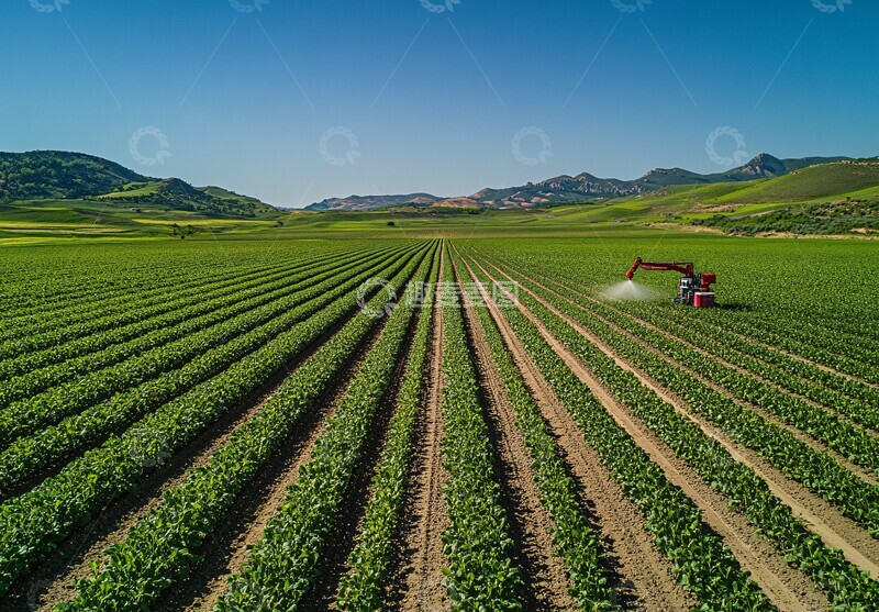 高清大图下载【趣麦麦图】无人机喷洒农作物3