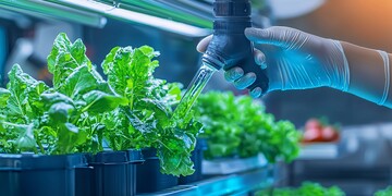 智能水培蔬菜系统3