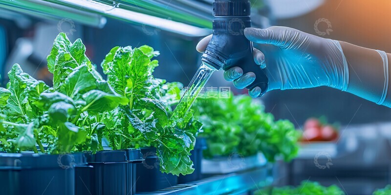 智能水培蔬菜系统3