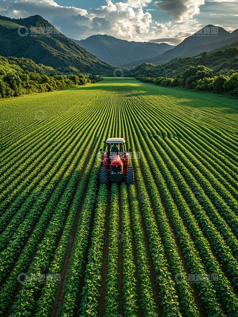 高清大图下载【趣麦麦图】丰收有序的农田2