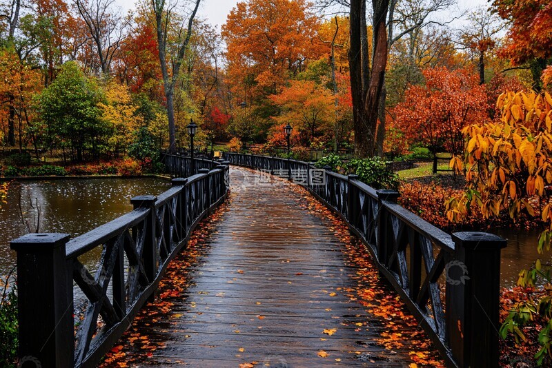 高清大图下载【趣麦麦图】秋叶胜景秋叶胜景公园3
