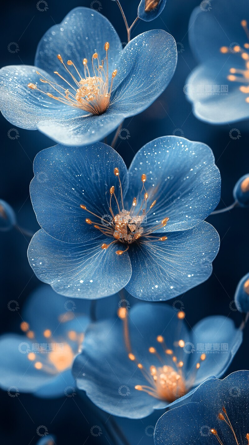高清大图下载【趣麦麦图】深蓝花卉背景