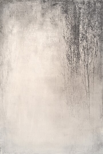 静谧之光静谧光影灰调