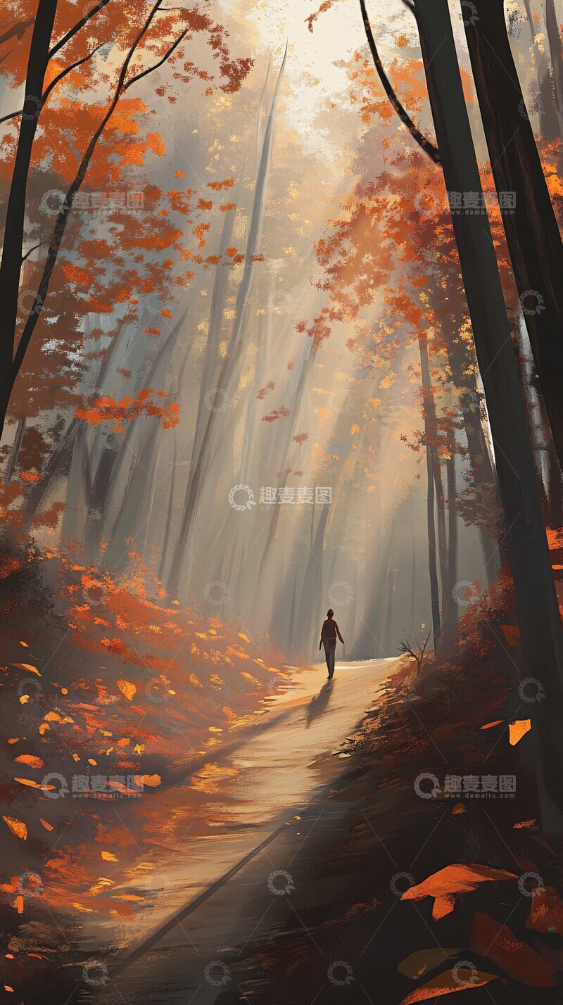 高清大图下载【趣麦麦图】秋林小径独行者2