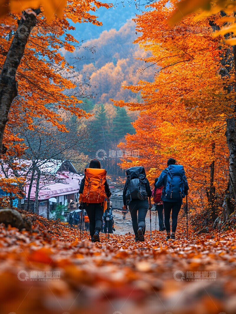 高清大图下载【趣麦麦图】秋山行旅旅行背包女孩3