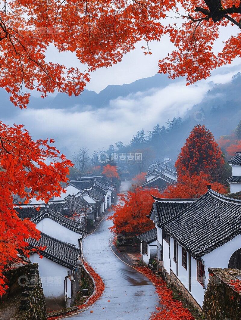 高清大图下载【趣麦麦图】红枫白墙黑瓦村3