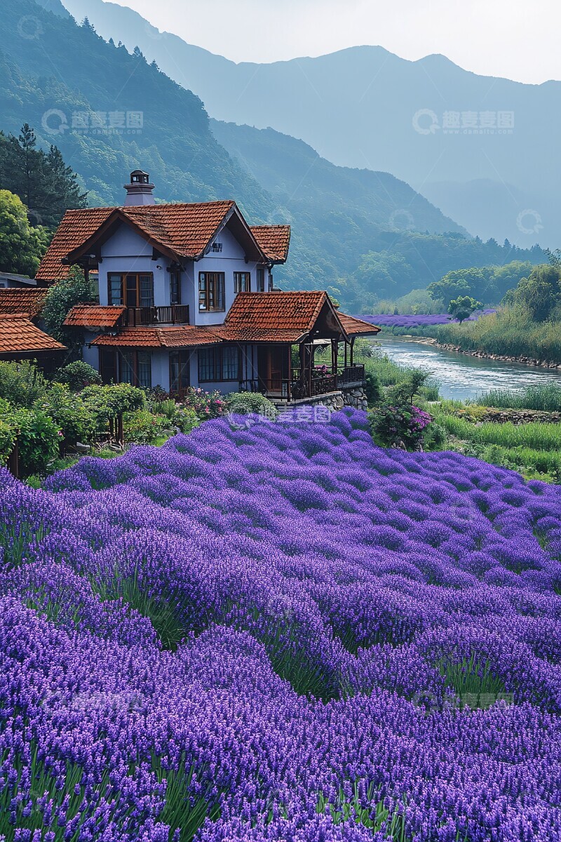 高清大图下载【趣麦麦图】紫色花海与古朴村舍3