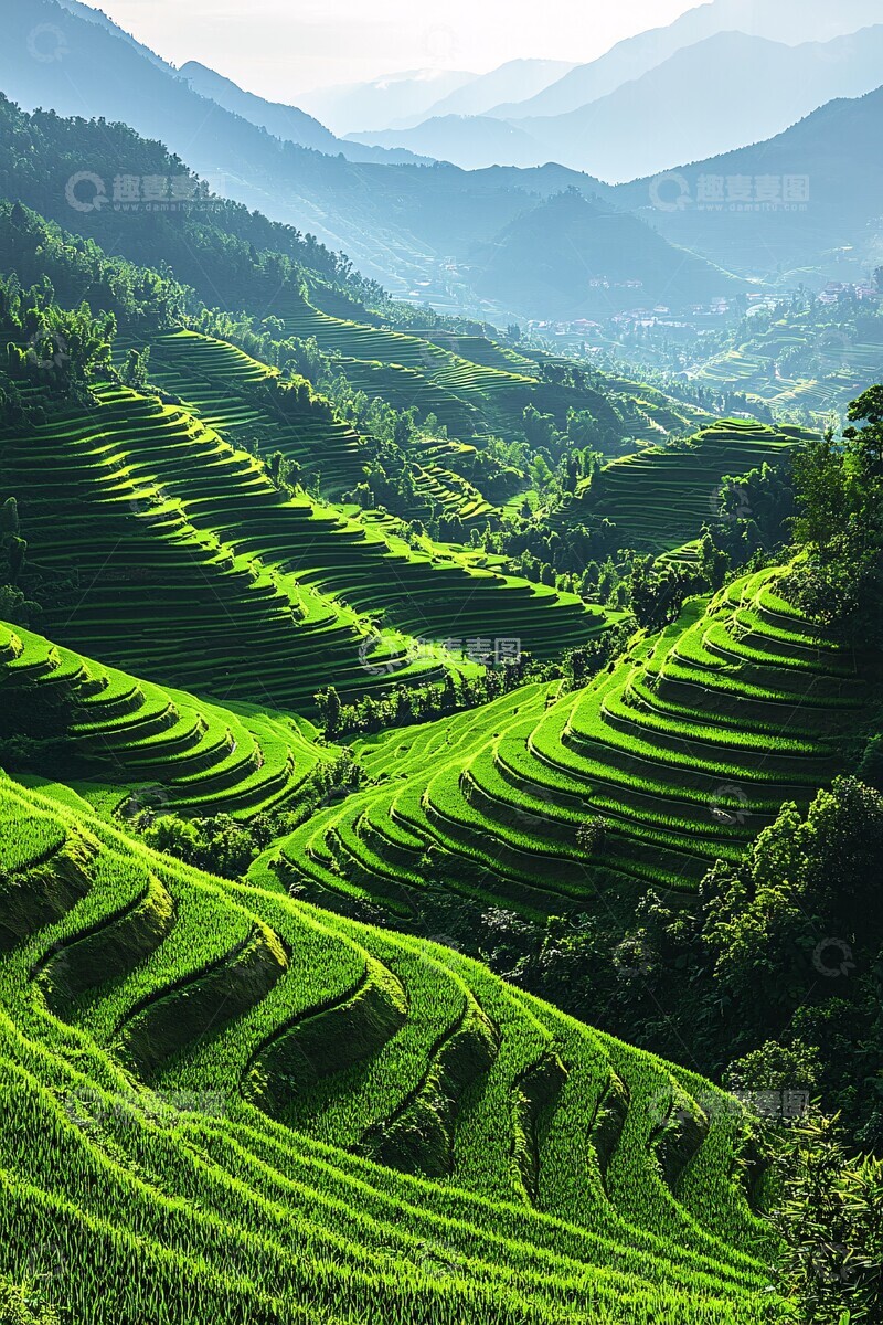 高清大图下载【趣麦麦图】绿意梯田梯田农作物山坡3