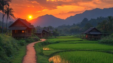 稻田暮色稻田暮色村庄1