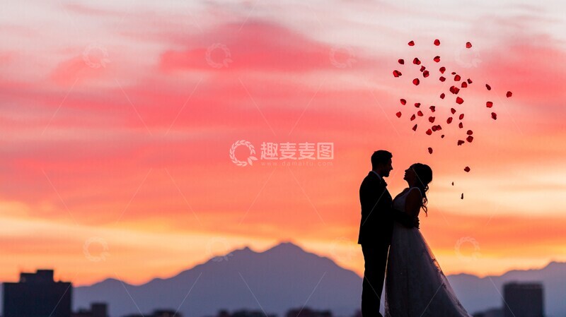 高清大图下载【趣麦麦图】花瓣飘落城市2