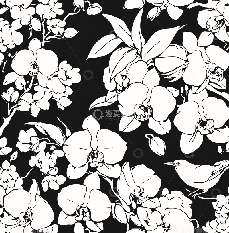 高清大图下载【趣麦麦图】兰花鸟图案兰花鸟类图案1
