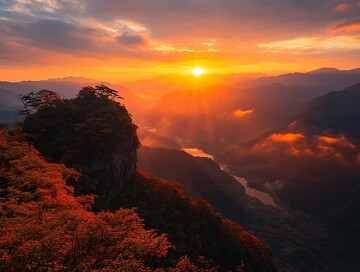 茶山茶树间茶山茶树山间1