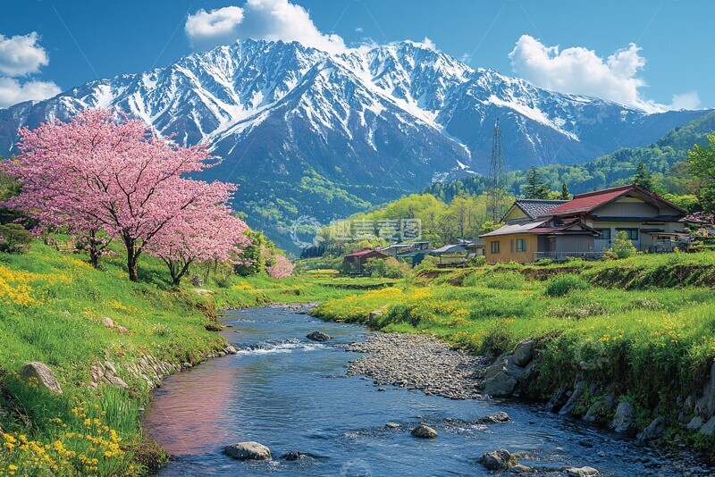 高清大图下载【趣麦麦图】樱花绿意雪峰河1