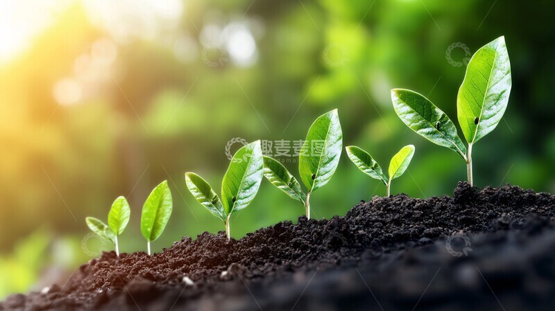 高清大图下载【趣麦麦图】企业快速增长图1