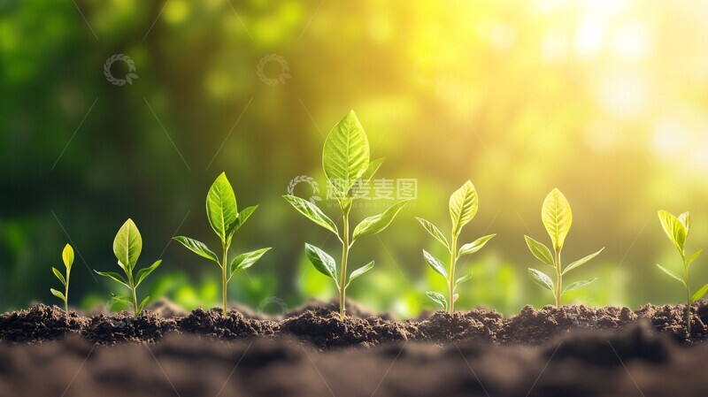 高清大图下载【趣麦麦图】企业快速增长图2