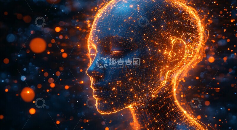 高清大图下载【趣麦麦图】数据构成的头部