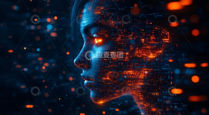 高清大图下载【趣麦麦图】数据构成的头部1