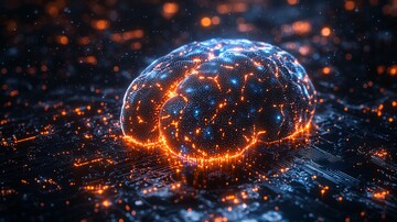 自动化生成工具2