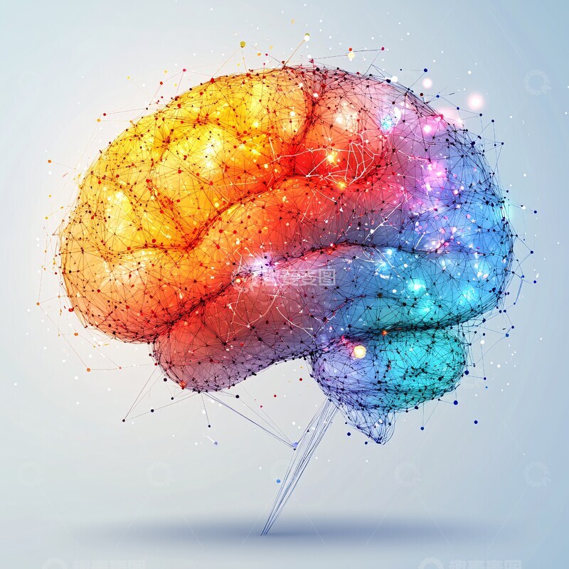 高清大图下载【趣麦麦图】大脑几何形状图1