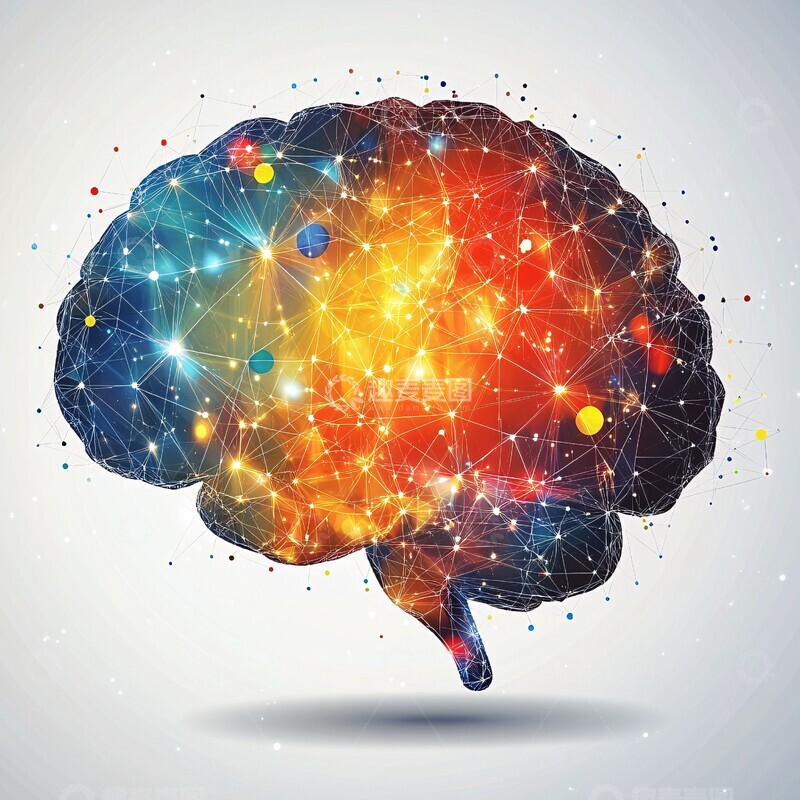 高清大图下载【趣麦麦图】大脑几何形状图