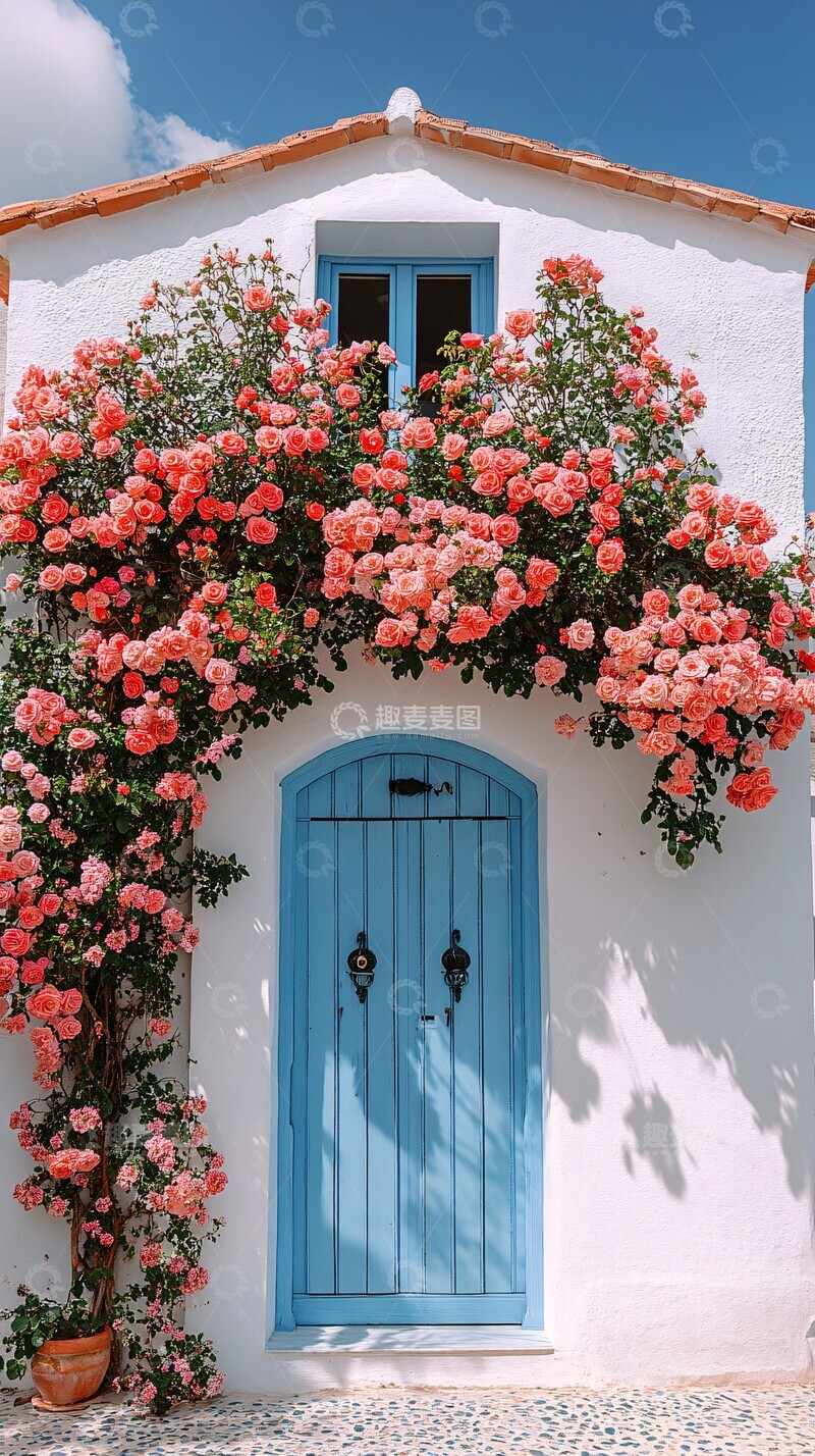高清大图下载【趣麦麦图】白色墙面玫瑰门1