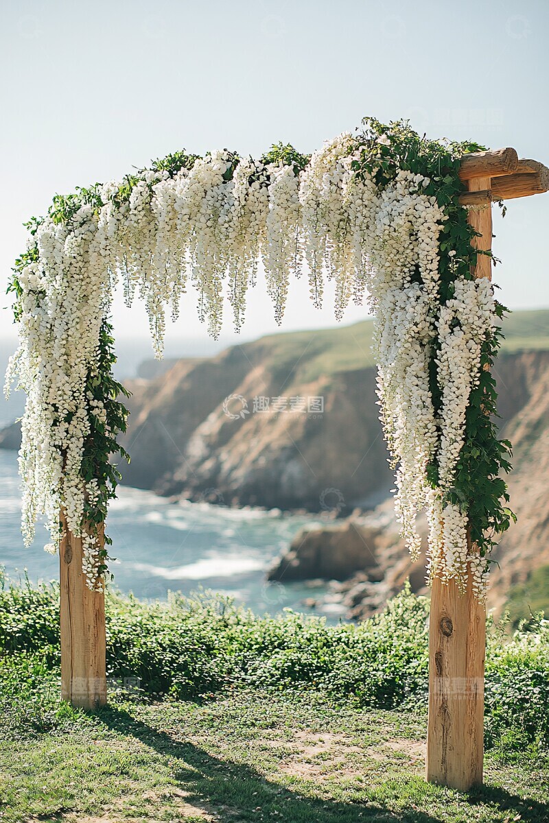 高清大图下载【趣麦麦图】白紫藤飘逸入框