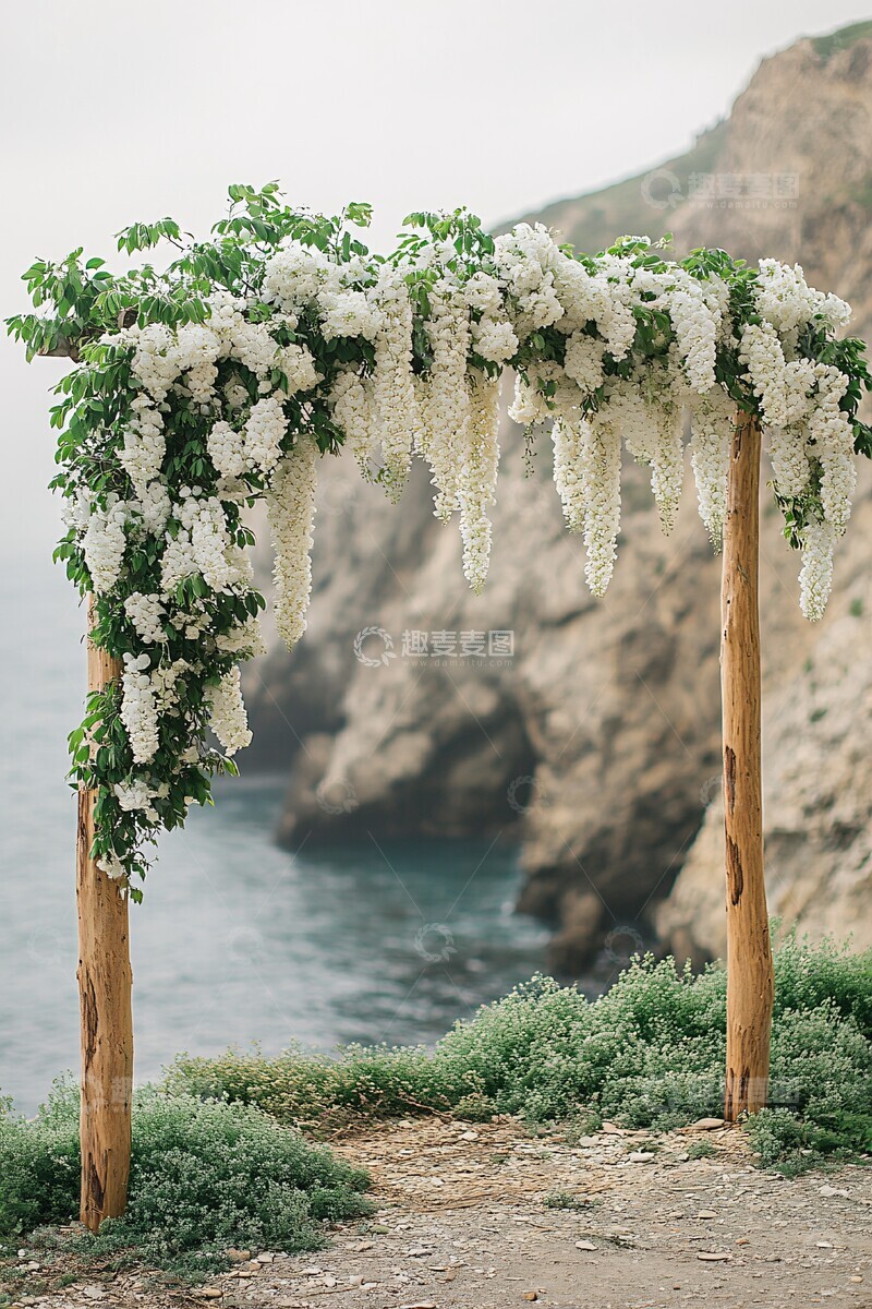 高清大图下载【趣麦麦图】白紫藤飘逸入框1