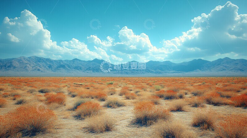 高清大图下载【趣麦麦图】沙漠中沙丘的黑白影像